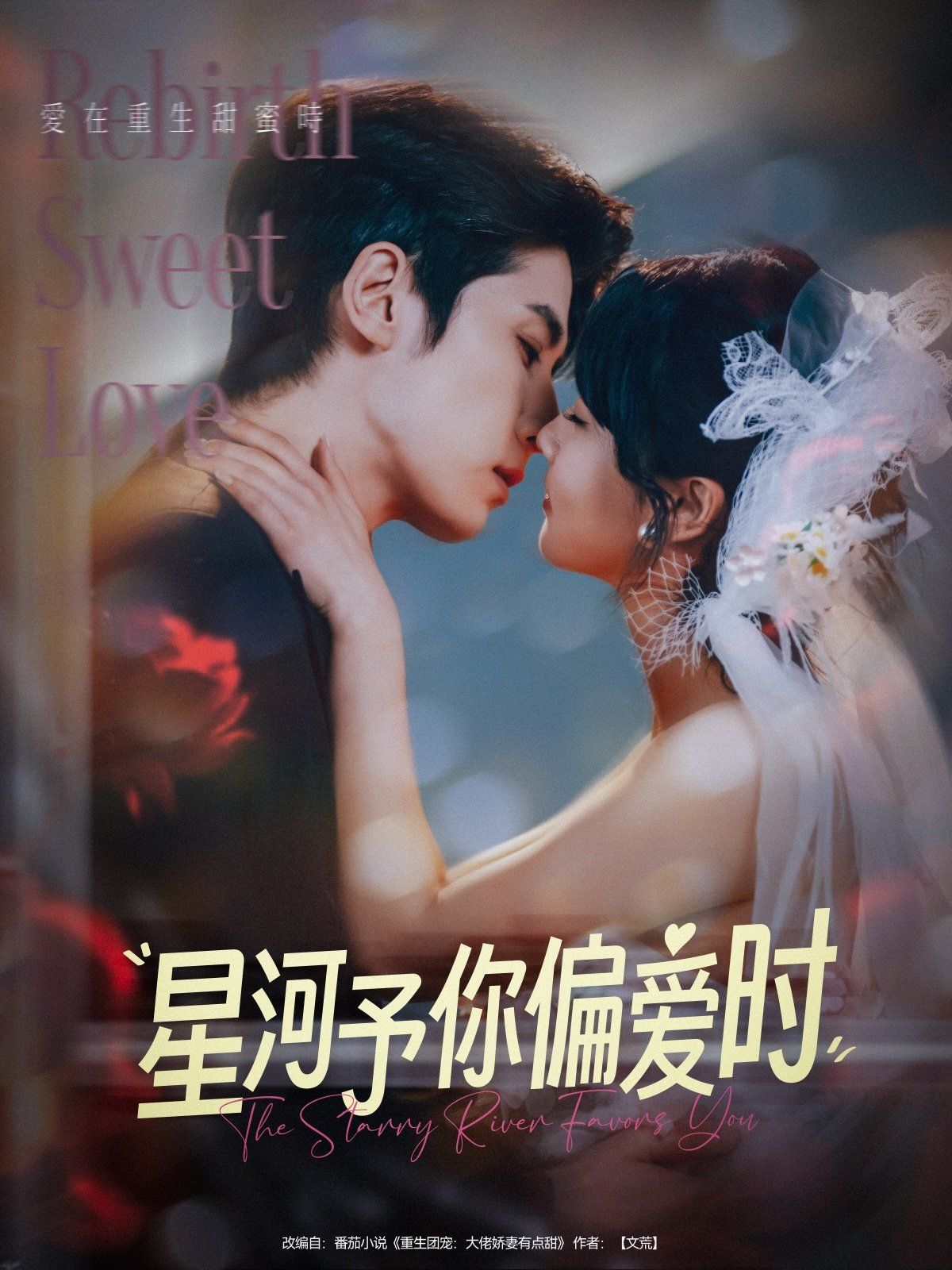 星河予你偏爱时(全集)