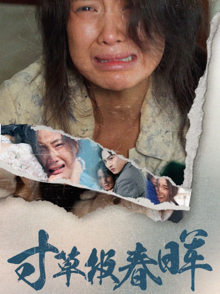 寸草报春晖第1-20集