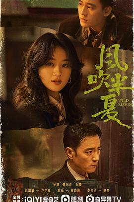 风吹半夏第31集