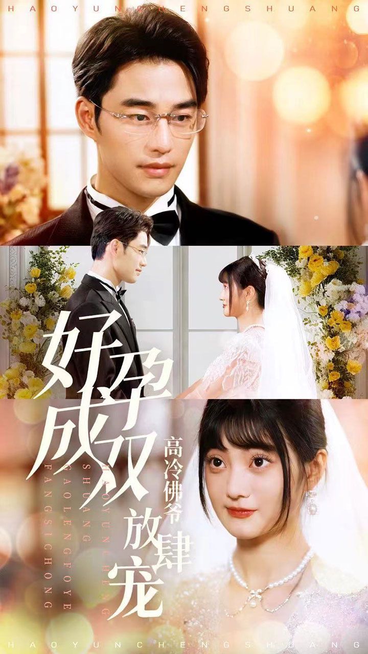 好孕成双高冷佛爷放肆宠第1-20集