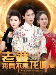 老婆我真不是龙帅啊第21-40集