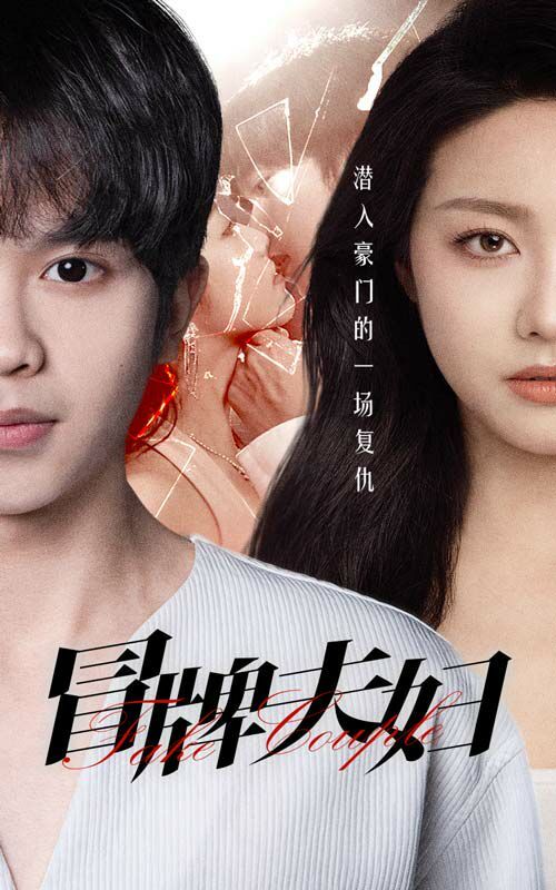 冒牌夫妇合集版