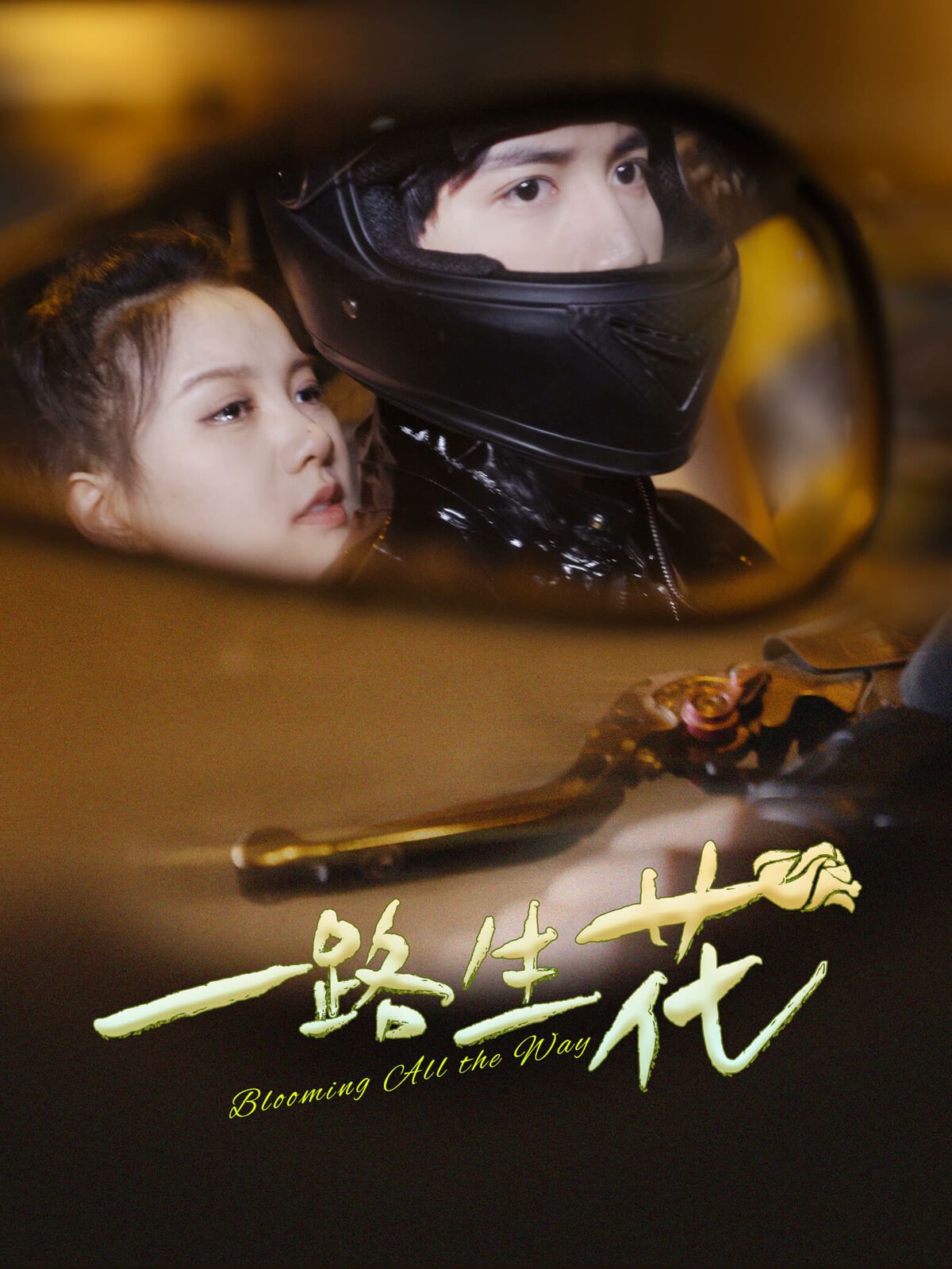 一路生花第41-60集完结(大结局)