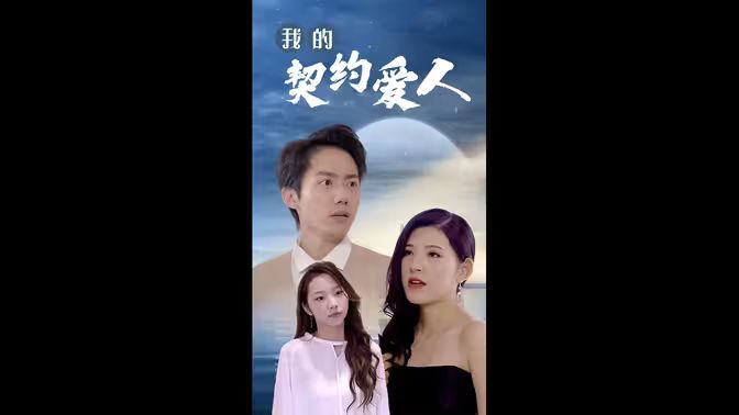 我的契约爱人第21-40集