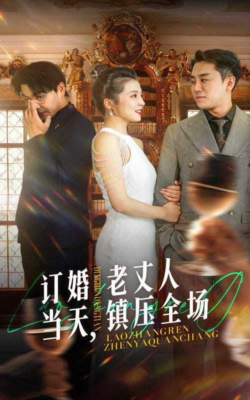 订婚当天，老丈人镇压全场第12集