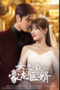女总裁的豪龙医婿第1-20集