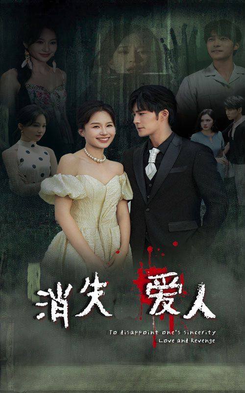 消失爱人第21-40集