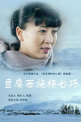 豆腐西施杨七巧第16集