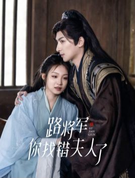 路将军你找错夫人了第41-60集