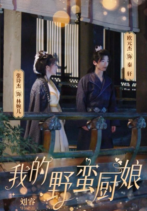 我的野蛮厨娘第1-20集