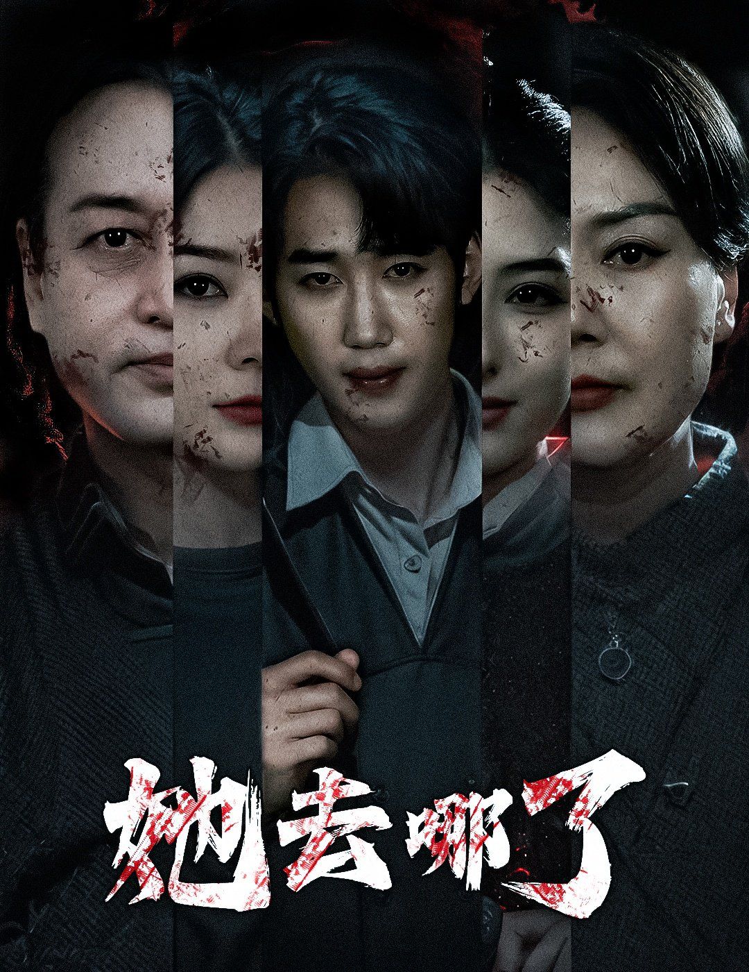 她去哪了第1-20集