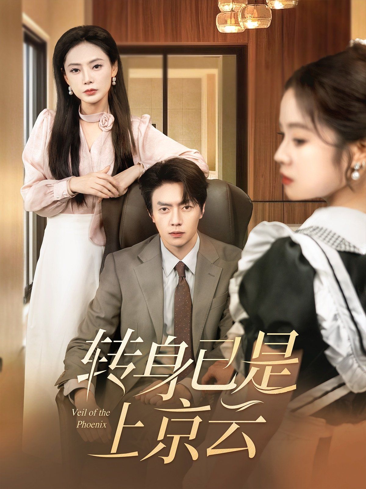 转身已是上京云第1-20集