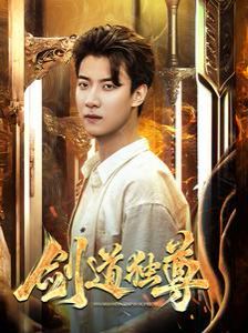 新剑道独尊第81-108集完结(大结局)