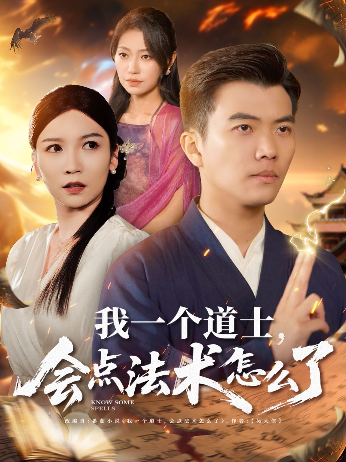 我一个道士会点法术怎么了(全集)