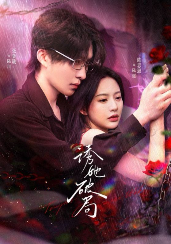 诱她破局第21-30集