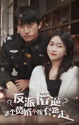 狂医废婿第41-60集