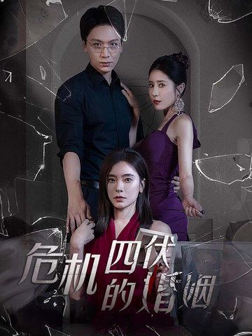 危机四伏的婚姻第28集