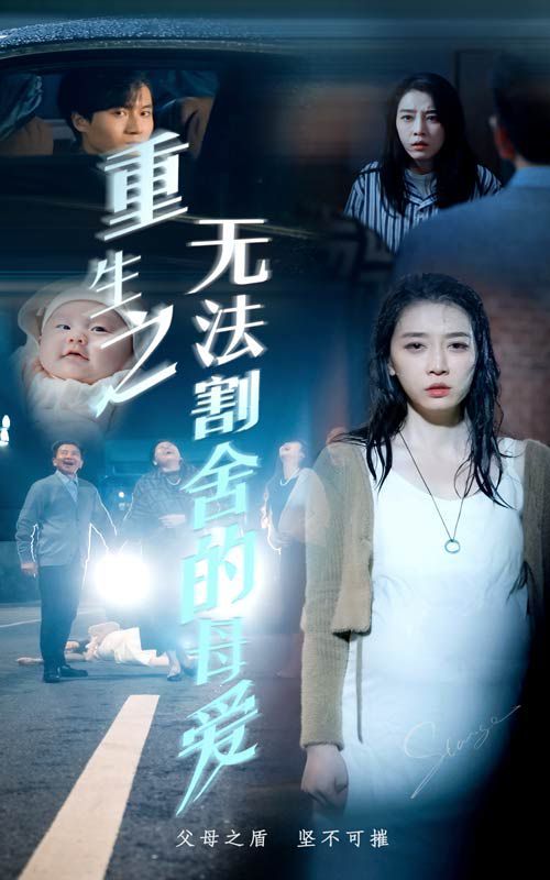 重生之无法割舍的母爱第21-40集