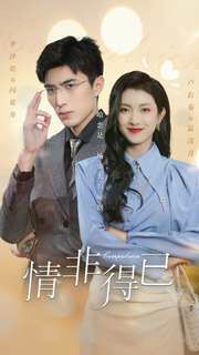 情非得已全集完结(大结局)