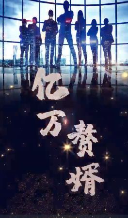 亿万赘婿第61-80集