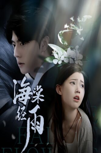 海棠经雨第1-20集