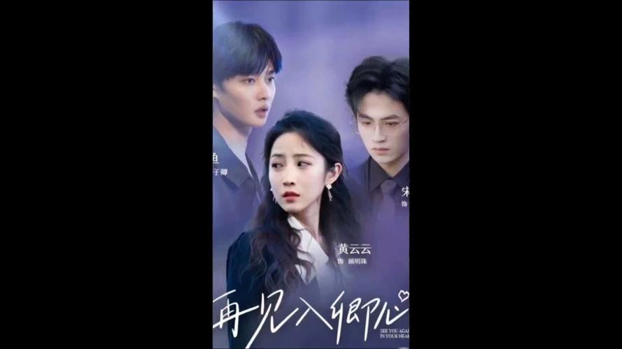 再见入卿心第21-40集