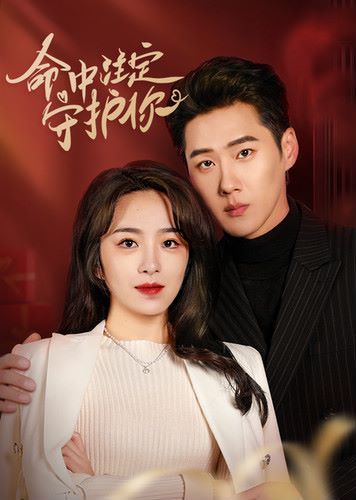 命中注定守护你第21-40集