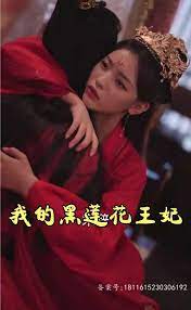 我的黑莲花王妃第01集