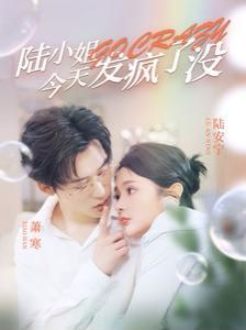 陆小姐今天发疯了没第21-40集