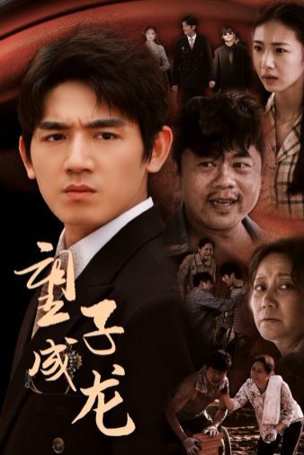 望子成龙第31-60集(大结局)