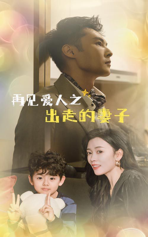 再见爱人之出走的妻子第1-40集