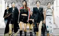 无双傻婿第51集