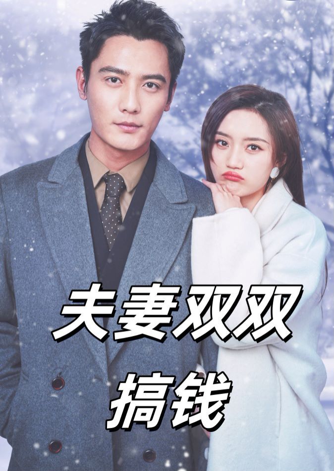 夫妻双双搞钱第11集