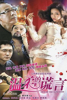 温柔的谎言第14集