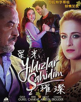 星光璀璨第04集(大结局)