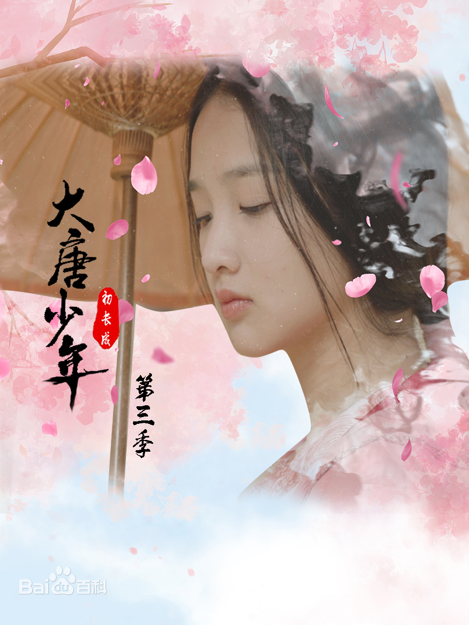 大唐小娘子第三季第12集