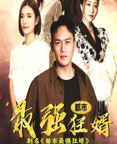 都市最强狂婿第03集