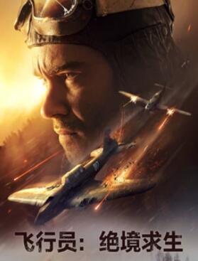 飞行员：绝境求生HD国语中字