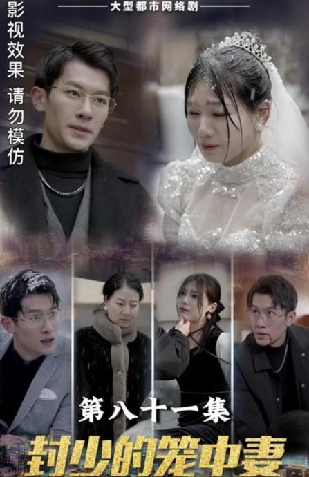 封少的笼中妻第03集