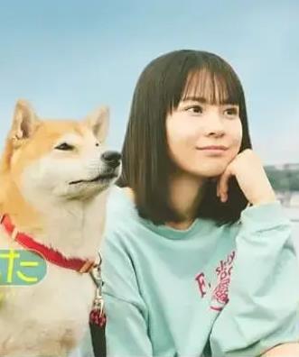 今日份的散步第01集