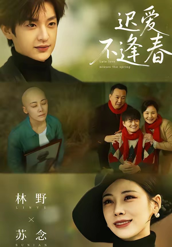 迟爱不逢春全集(大结局)